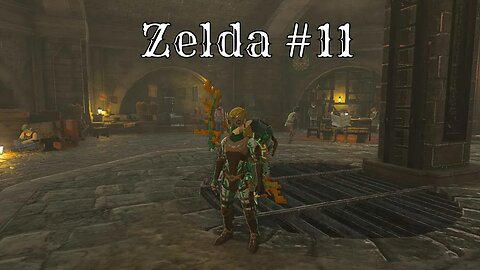 Finally got a wingsuit set! - The Legend of Zelda: Tears of the Kingdom Part 11