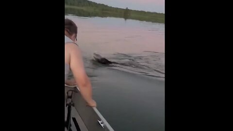 Boaters In Wisconsin Came Across Quite A Sight Today