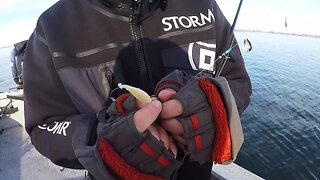 Walleye Fishing With Berkley Gulp Minnows (TROLLING TIPS!)