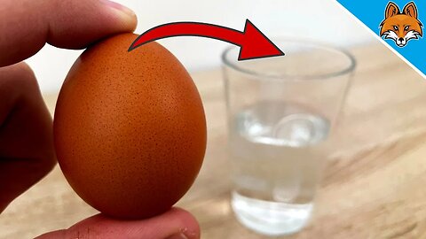 This is why you should put EGGS in a Glass of WATER before you Eat them 💥 (IMPORTANT) ⚡️