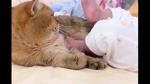 cute cat and baby kids funny moments 😂🤣 trending video