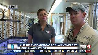 Valentines Day at Tarpon Bay Explorers - 8:30am live report