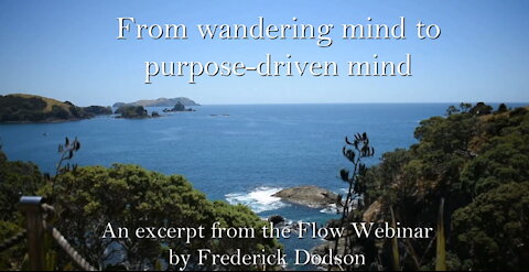 From wandering mind to purpose driven mind