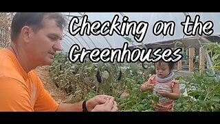 Checking on the Greenhouse