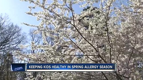 Keeping kids healthy in spring allergy season