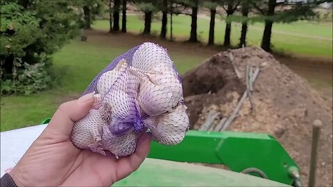 Fall Garlic planting, Puppies and the Tire Potatoes !