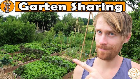 Wie du OHNE eigenen Garten anbauen und ernten kannst