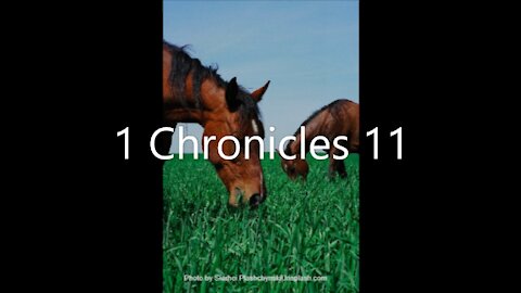 1 Chronicles 11 | KJV | Click Links In Video Details To Proceed to The Next Chapter/Book