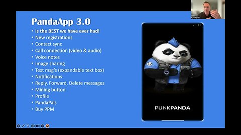 PunkPanda Update June 30 23