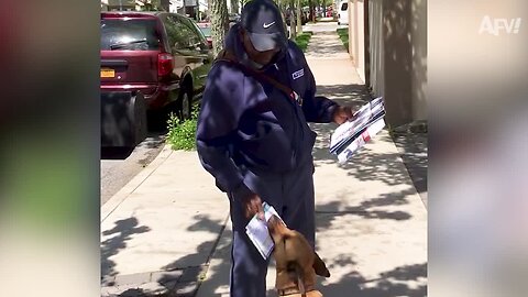 Mail Carriers Vs. The World