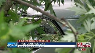 Tree crushes car near 50th and Ames