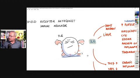 Low Dose Naltrexone (LDN) - Mechanism of Action