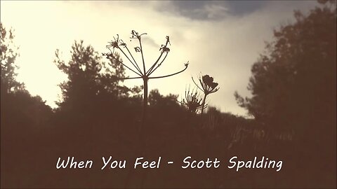 When you feel - Scott Spalding