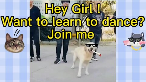 Said the dog. Please call me dance teacher！#hahaha