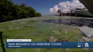 University of Florida scientists say airborne toxins from harmful algae blooms can travel 10 miles, linger for hours