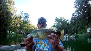 Susquehanna River Trip # 2 - Largemouth & Small Mouth Bass