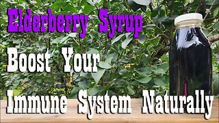 Elderberry Syrup Recipe ~ Boost Your Immune System Naturally ~ Self Reliance