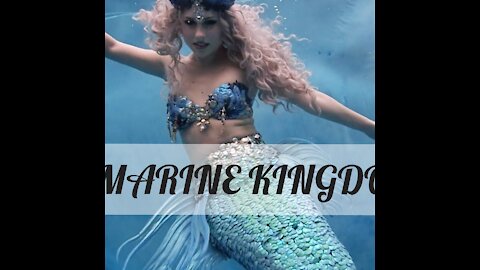 Marine Kingdom