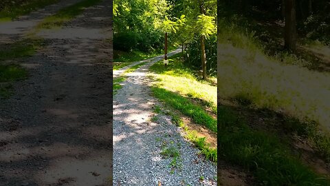 Prepper tip of the day ep.11 blocking roads #homesteading #prepping