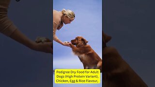 clifford the big red dog dog videos #pet #dog #short