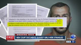 Chris Watts' attorneys request for DNA samples suggest daughters were strangled