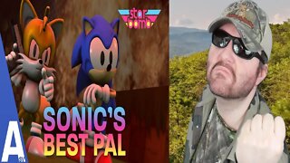 Sonic's Best Pal - Fan-Animated Starbomb Music Video (AustinSV) REACTION!!! (BBT)