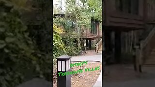 Have You Stayed At One Of Disneys Most Unique Accomodations | Saratoga's Treehouse Villas