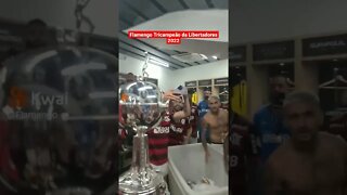Flamengo Tricampeão da Libertadores 2022
