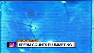 Sperm counts plummeting in western men