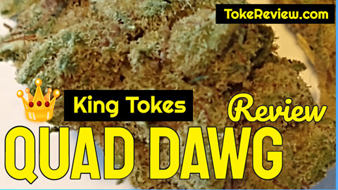 King Toke's Review of the Quad Dawg Marijuana Strain