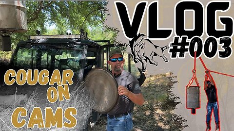 VLOG #003 | Cougar On Cams & Tree Feeder Setup!