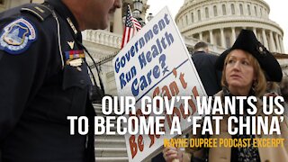 Our Government Wants Us Obese, Dependent And Obedient - Fat China