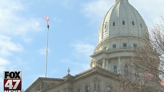 Women to march in Lansing day after inauguration