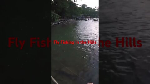 #viral #flyfishing #bass #guadalupe #flow #rapids #river #creek #hillcountry