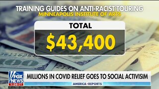 Millions Of COVID Relief Went To Democrat Social Activism: Fox News