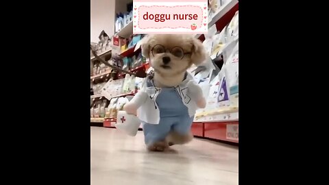 Today,“ I'm a doggy nurse”
