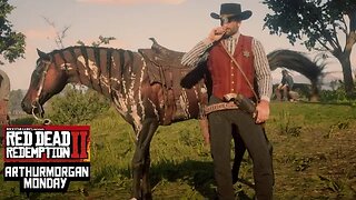 Red Dead Redemption 2 - Arthur Morgan Monday - #RDR2 #RDO #freeaim #PS4Live #warpathTV