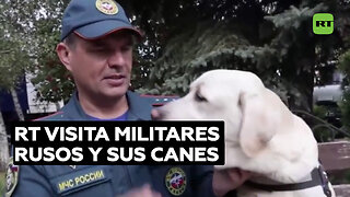 RT visita a los militares rusos y a sus perros de servicio en las zonas de la operación especial