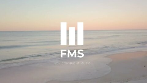FMS - Free Non Copyright EDM Music #045