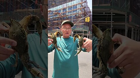 Which Ones Bigger? Uber Eats Stories from Da Hood Brooklyn #bluecrab