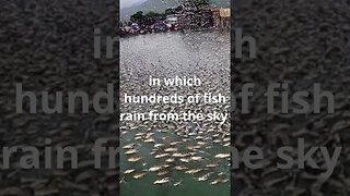 Rain of fish” #shorts
