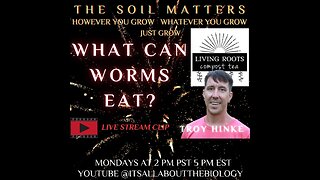 What Can Worms Eat?