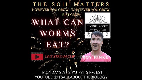 What Can Worms Eat?