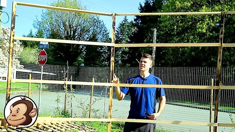 Building a Bean Arbor