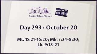 Through the Bible 2022 (Day 293)