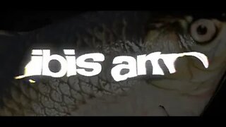 Ibis AM: Gameplay Featuring Campbell The Toast: Part 1