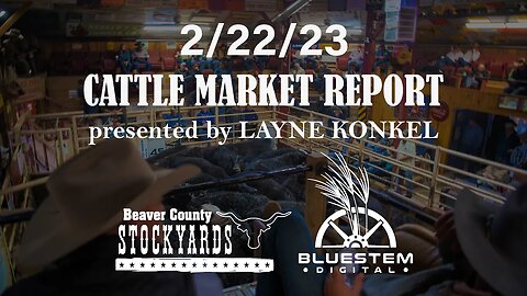 2/22/23 Beaver County Stockyards Cattle Market Report