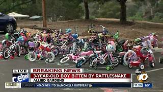 3-year-old boy bitten by rattlesnake