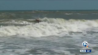 Surfers taking advantage of swells from Hurricane Maria