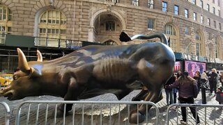 Wall Street BULL #RETAIL FOR FAIR & FREE #STOCKMARKET